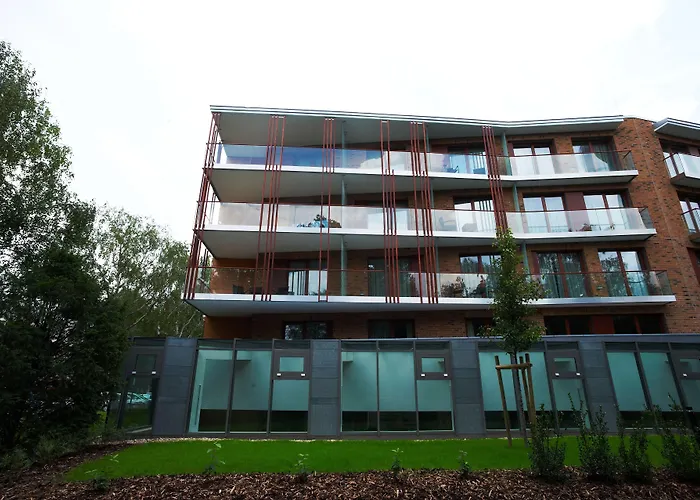 Abacus Business & Wellness