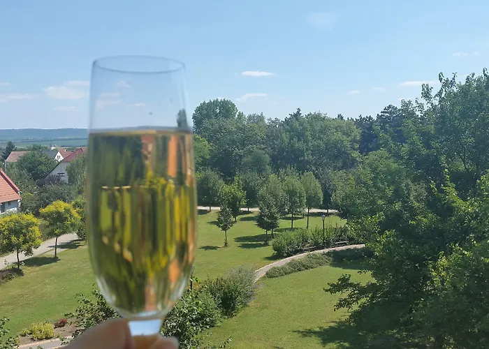 Abacus Business & Wellness 4*